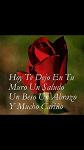 TATLI_KIZ