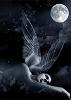 Moonlight69