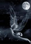 Moonlight69