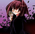 haruna95