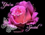MoRaD_DarK_TiGeR