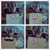 KittyDj