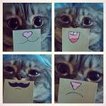 KittyDj