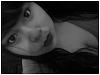 AZULITA_ROCK