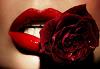 ReYna_StyLeS