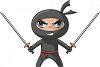 _NINJA_