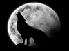 LobO_DarK
