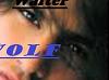 walt_wolf