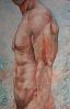 Fabri27_elgra