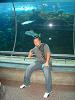 WILLY_TAMPA