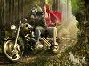 Alfita_WLMC