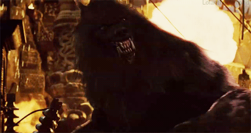WOLF_BLACK_HE