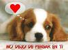 xx_profile_xx