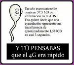 XuLaKiLLo_only