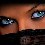 TaMy_DarK_TiGeR