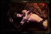 NeLiEl_RoSe