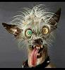 Death_CrAzY