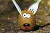 KiWi23_Ky_Onl