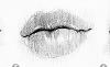 Estela__