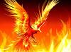 misterfenix