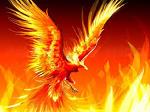misterfenix