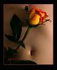 Paty_single