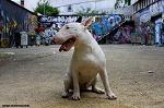 jaime31