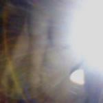 Alber_sao