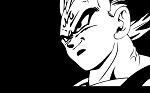 vegeta2429