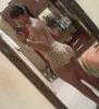 _Berenice_Ama