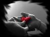 Airam05