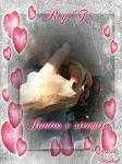 SUPER_D_DJ_ROMYY
