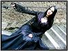 QueeN_LiLitH