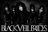TheWolfBlack6