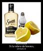 _tequila_