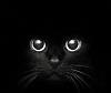 Joanna_Beauch