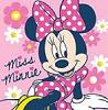 MINNI3