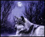 SHE_WOLF