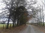Nethero