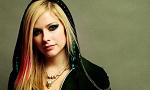 demy