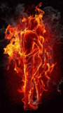Phoenix_Hass