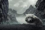 Jams_lobo
