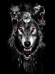 PRINCIPE__LyNx