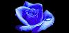 MARI_s