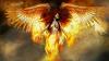 x_PHENIX_x