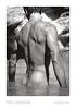 _Absalon_