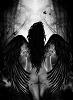 BuTTeRFLy_QuE