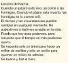 BLANCA_FLOR