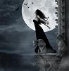 LaDyR_D_ThE_W