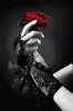 PrInC_ShiVa_C